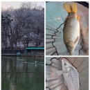 배양낚시터 이미지