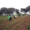 숭덕경로당 이미지