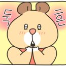 포아포 이미지