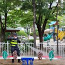 샘머리초교병설 이미지