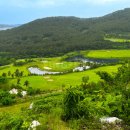 골든베이골프&리조트 | 골든베이CC 코스 국내 10대 골프리조트 충청도 골프장 추천