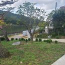 브루다 양주 이미지