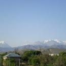 국제결혼문화원 이미지