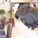 네이처파마 이미지