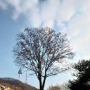 남산공원(정자아래) | 남산 한양도성 성곽길 걷기