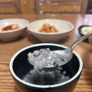 종로덮밥 | [내돈내산] 종로 맛집 추천 ❥･• 이화초밥 회덮밥 직장인 솔직 후기
