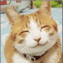 (주)복지연합 이미지