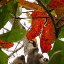 서부한의원 이미지