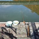 보물섬낚시터 이미지