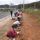 서천1리 이미지