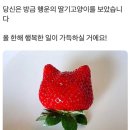 은결약국 | 그놩토크