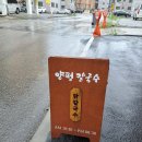 세븐일레븐 세종로점 | 여주 칼국수 맛집 [ 양평칼국수 여주점 ] 양평맛집이 여주에도 생겼어요! 내돈내산 방문후기