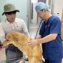 진도메디칼 이미지