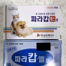 서면동물약국 이미지