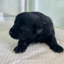 외답6길 이미지