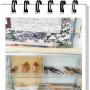 동문초등병설 이미지