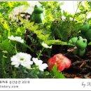 묘르신 이미지