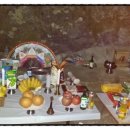 진안산소 이미지