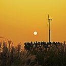 하늘공원 이미지