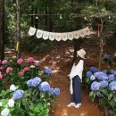 나무아래서(푸드트럭) 이미지