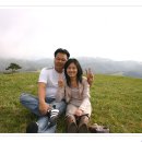 주성목장 Daum카페