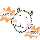 리시안뷰티크