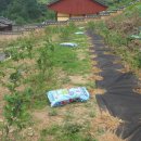 푸른솔농장2 이미지