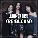 ✨씨야 팬미팅 후기✨ 남규리, 김연지, 이보람 재결합 ㅣ 그럼에도 우린 @이들스