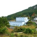 티무인텔 이미지