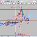 인트로메디칼 이미지