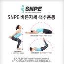 바른 척추 운동 센터 이미지