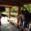 까치울초 이미지