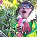 국채보상로150길 이미지