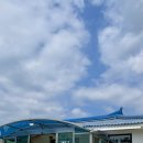 가보 | 속초 아침식사 맛집 가보오토종닭 일요일 후기