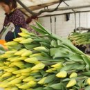 화림농장 이미지