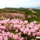 소백산에서 이미지