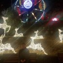 황제피라미드불한증막 이미지