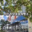 누룩제빵소카페 | 경산/하양 맛집] 아이와 가기 좋은 대형 카페 하양송송제빵소 방문 후기