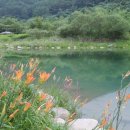 새재의아침 이미지