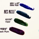 칼라(COLOR)네일