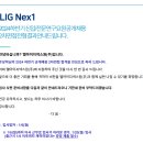 LIG 넥스원 앞 횡단보도(넥스원 쪽) | 인스타에 올리기엔 조금 머쓱한 2024 취업 후기와 조그마한 고민거리