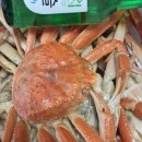 이가네 옛날불고기 이미지