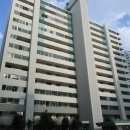 상동 393 이미지