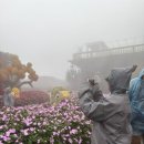 파크 힐(477)[스크린] | 다낭 바나힐 렌트카 후기 | 골든브릿지 · 무료 맥주 꿀팁까지 총정리