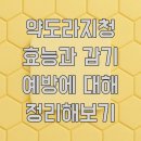 약도라지청 효능과 감기 예방에 대해 정리해보기
