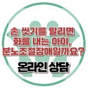 [온라인 상담 : 손 씻기를 말리면 화를 내는 아이, 분노조절장애일까요?] 한국아동청소년심리상담센터 이미지