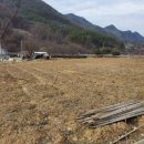 좋은땅이야기공인중개사사무소 이미지