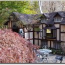 평창농원 이미지