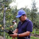 도일농장 이미지