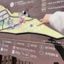 궁류면사무소 | 거장산오토캠핑장 외부오캠사이트정보 놀거리가 많은캠핑장추천